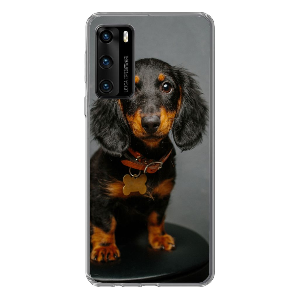 MuchoWow Handyhülle Schutzhülle Hülle für Huawei P40 Studiofoto eines Dackelwelpen Silikon Softcase Handy Hülle - Handytasche