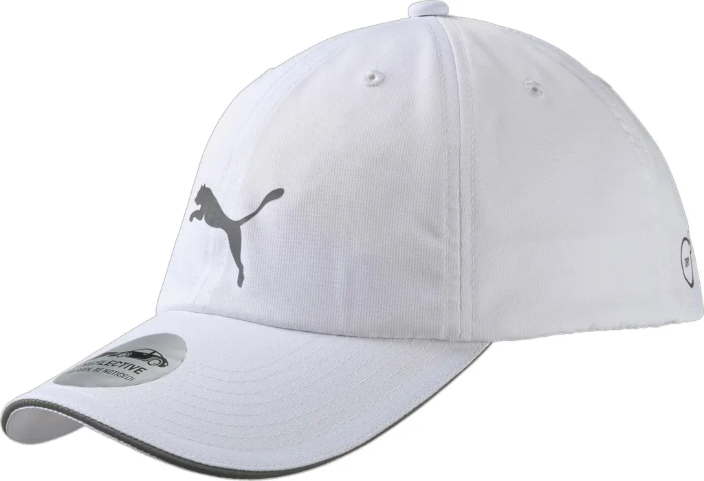Puma Cap 052911-02 in White color size Adult