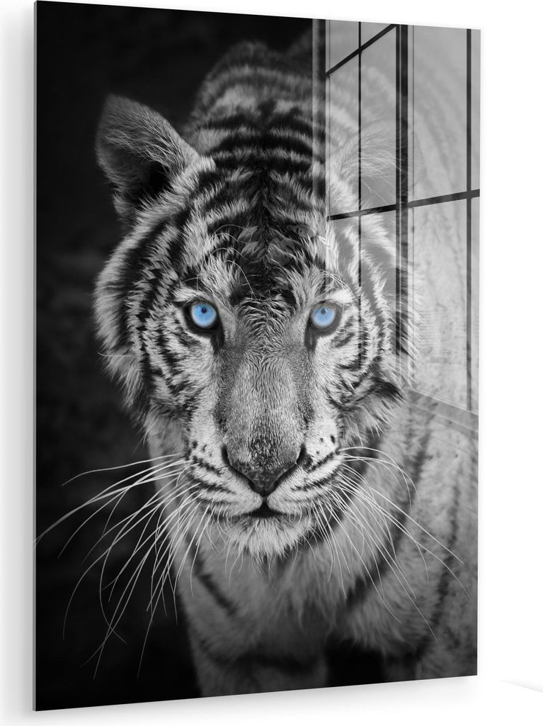 MuchoWow Glasbilder - Bilder auf Wandbild - Foto auf Glas Tiger - Tier - Schwarz - Blau - Modern 30x40 cm Wanddekoration aus Glas - Acrylglasbild -...