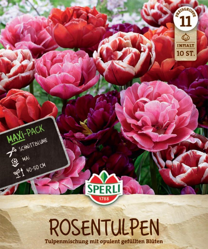 SPERLI Maxi Tulpen Rosentulpen-Mischung Tulipa hybrids 10 Produktbild 