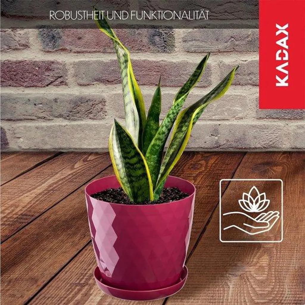 Pot de fleurs avec soucoupe rose 18 cm pour herbes aromatiques et plantes