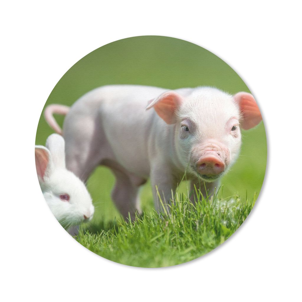 MuchoWow Mauspad Mousepad Ferkel - Kaninchen - Tiere 50x50 cm - Mousepads - Maus Mat - Pad - Mausunterlage - Vinyl