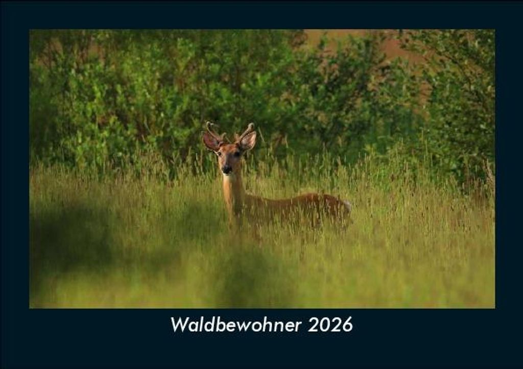 Waldbewohner 2026 Fotokalender - Querformat DIN A5, Monatskalender mit Bild-Motiven von Haustieren, Bauernhof, wilden Tieren und Raubtieren