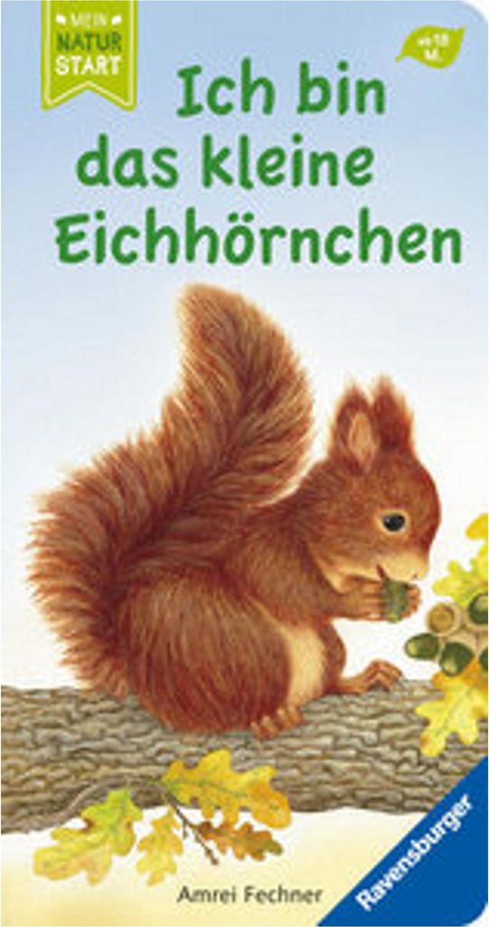 Ich bin das kleine Eichhörnchen Produktbild 