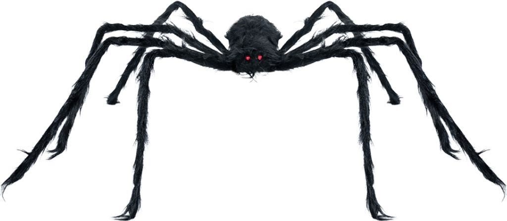 Schwarze Grusel Spinne