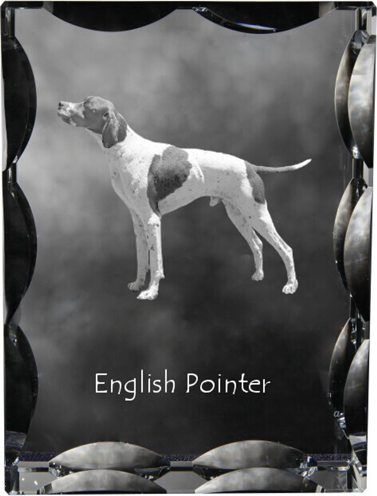 English Pointer, Englischer Pointer - Kristall mit einem Hundebild, Glasstatuette mit einem Bild, einzigartiger Bilderrahmen der Marke Art-Dog