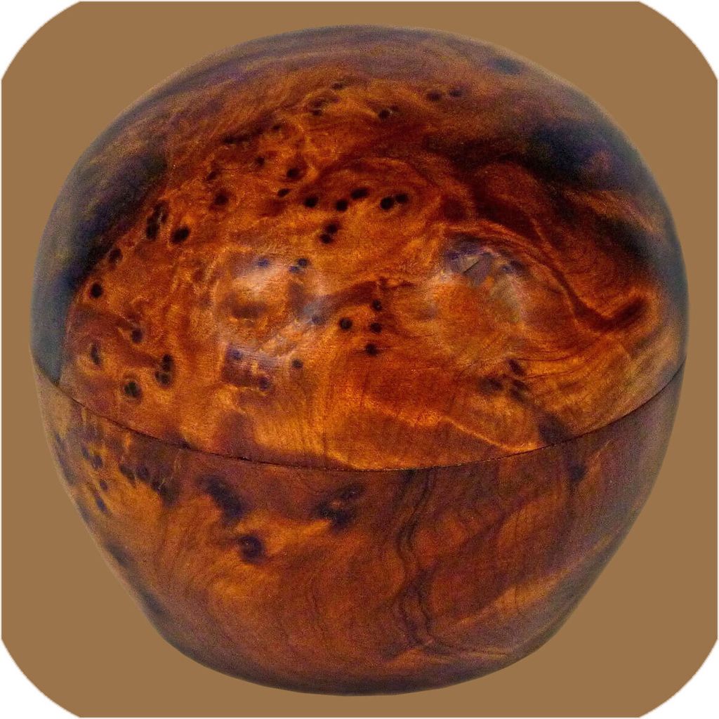 Thuja Holz Schatulle Dose Schmuckdose Holzschachtel Holzdose Holzschatulle Wurzelholz Kiste rund, klein