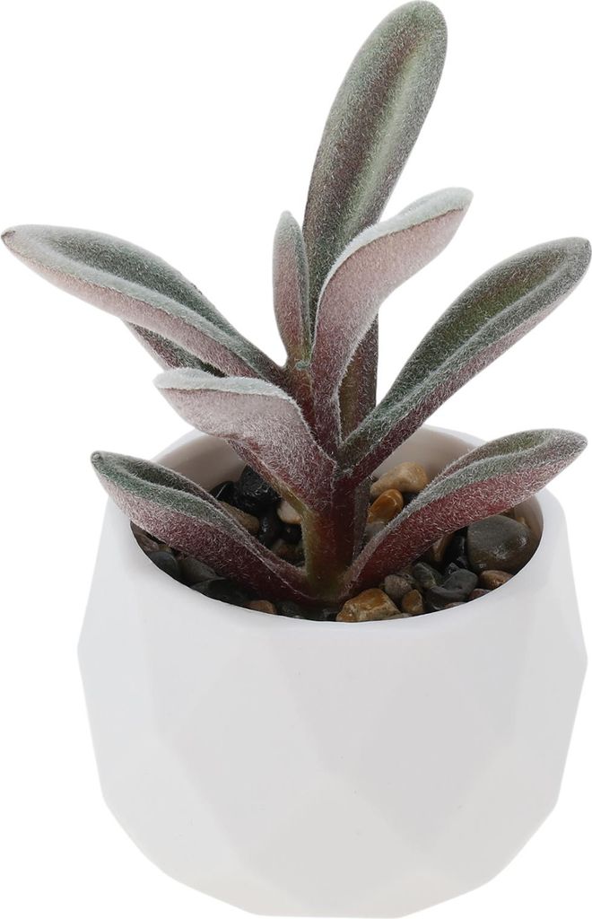 Künstliche Sukkulenten Pflanze Typ 2 Büro Schreibtisch Deko Accessoires Künstliche Flockpflanzen Für Innenraum Bad Küche Deko