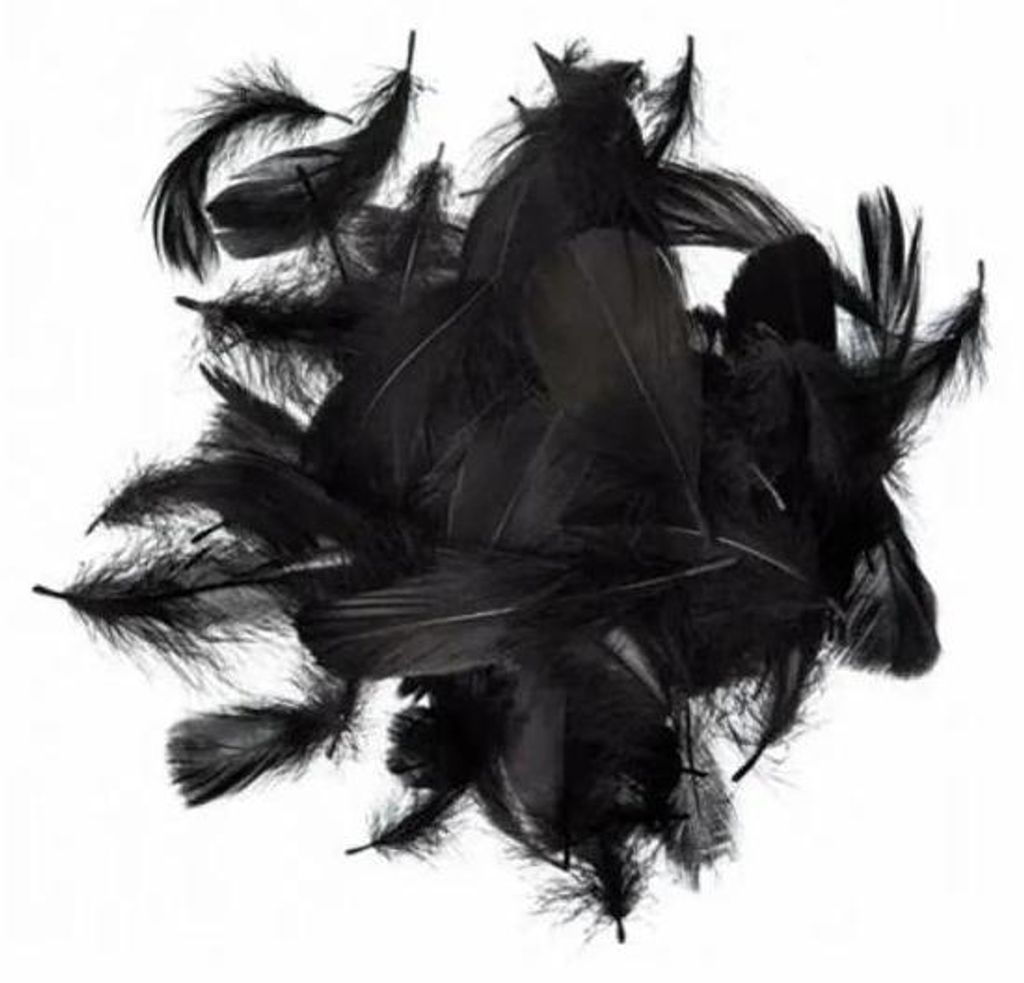 Schwarze Federn, 5–12 cm, 10 g – Dalprint