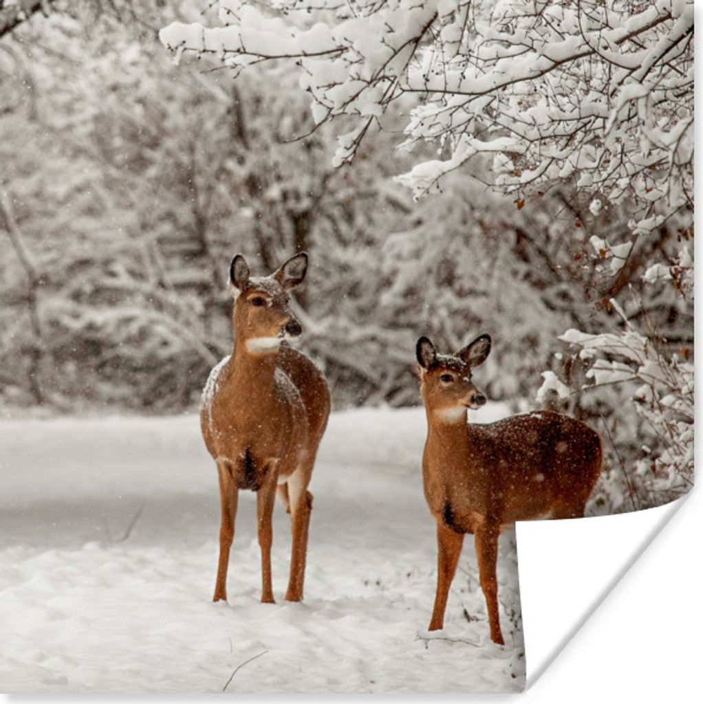MuchoWow Poster Hirsche - Schnee - Bäume 100x100 cm - Babyzimmer