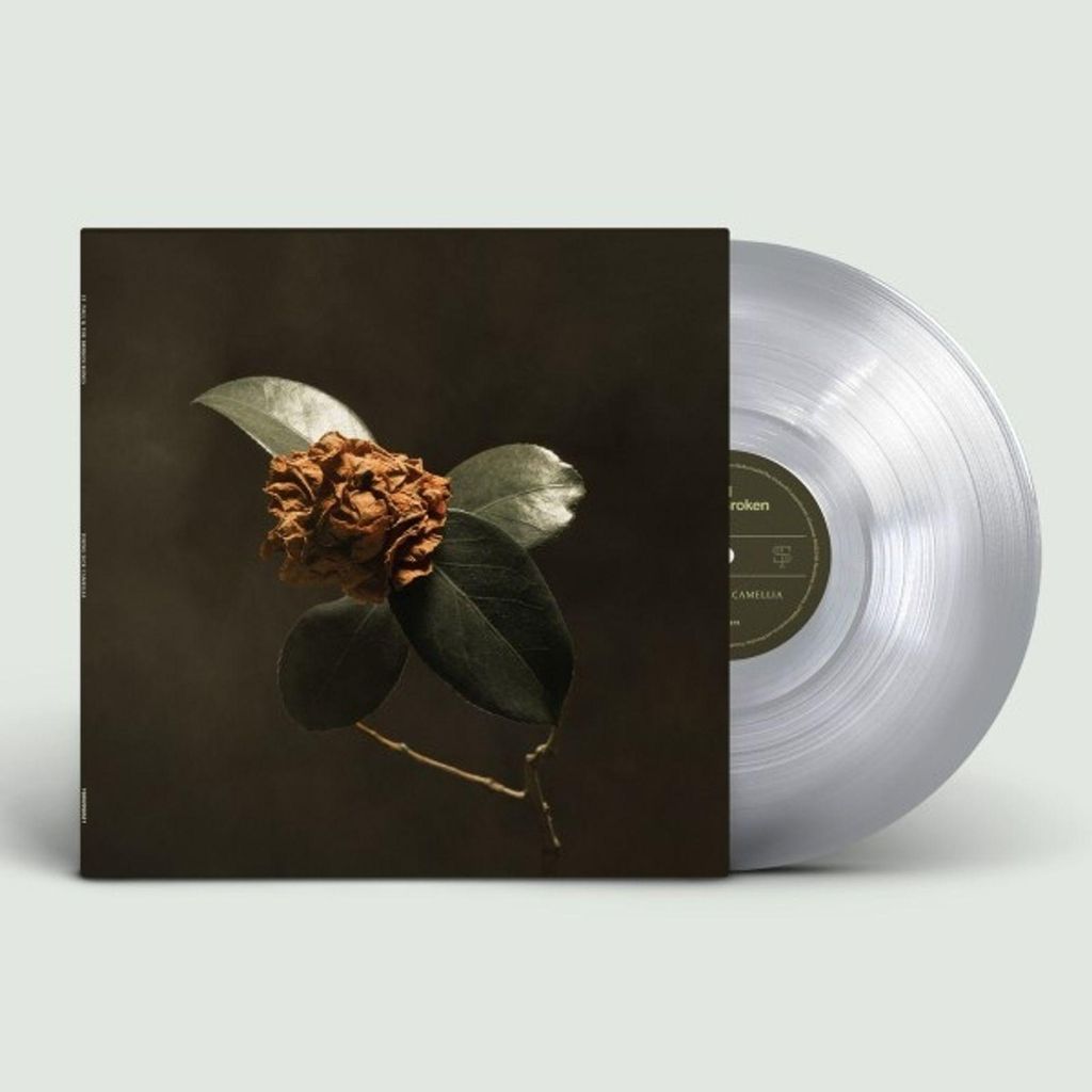 St. Paul & The Broken Bones: Young Sick Camellia (Limited Edition) (Clear Vinyl)