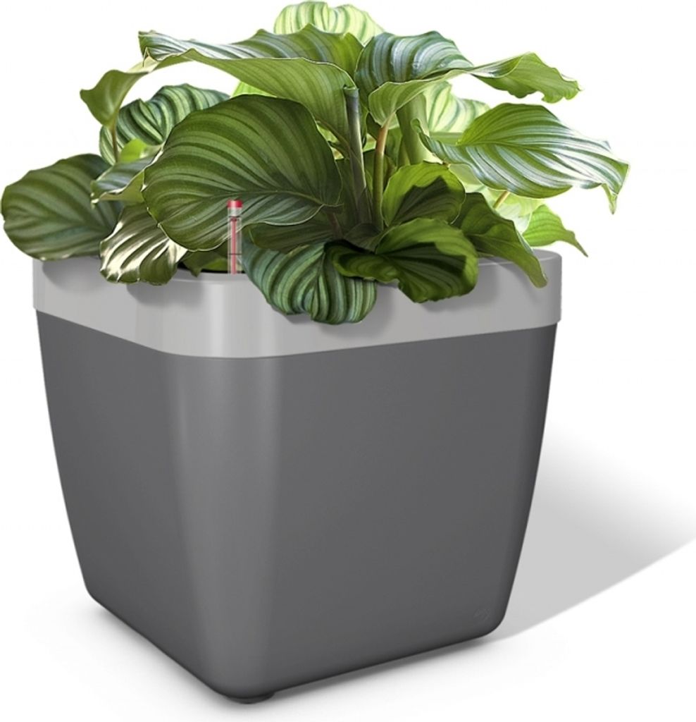 Emsa myBOX Blumenkasten Blumenkübel 35 cm anhrazit/alu Produktbild 