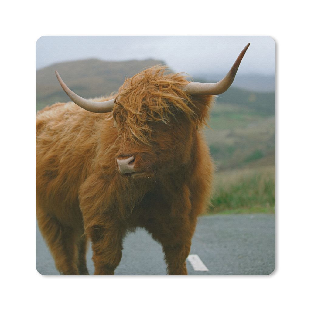 MuchoWow Mauspad Mousepad Schottischer Highlander - Berg - Straße 20x20 cm - Mousepads - Maus Mat - Pad - Mausunterlage - Desk Mat - Bureauartikeln
