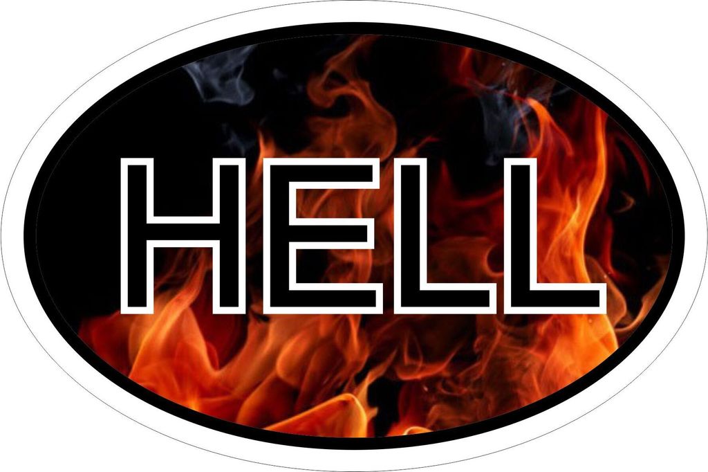 Kiwistar - Autoaufkleber - 10x6,6 cm - außen klebendKiwistar Autoaufkleber - HELL Auto, Laptop, Fahrrad, LKW, Motorrad Mehrfarbig Autoaufkleber Au...