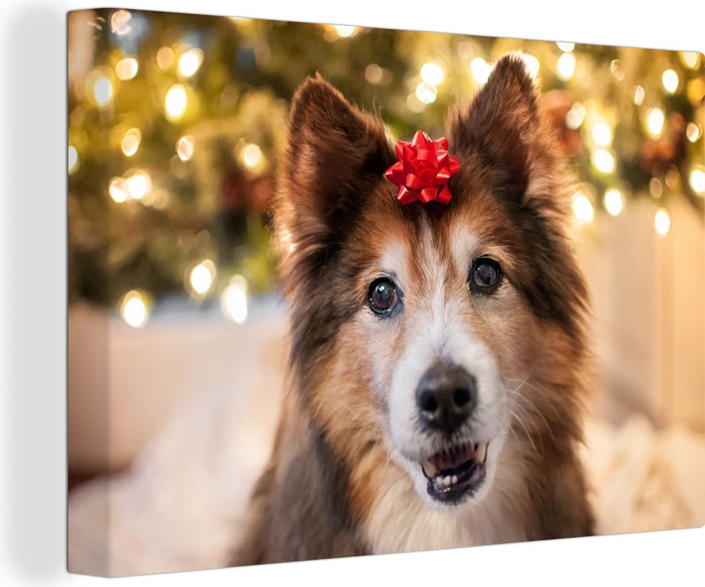OneMillionCanvasses - Leinwandbilder - 140x90 cm, Hund mit roter Schleife, Wandbilder Kunstdruck Wanddekoration