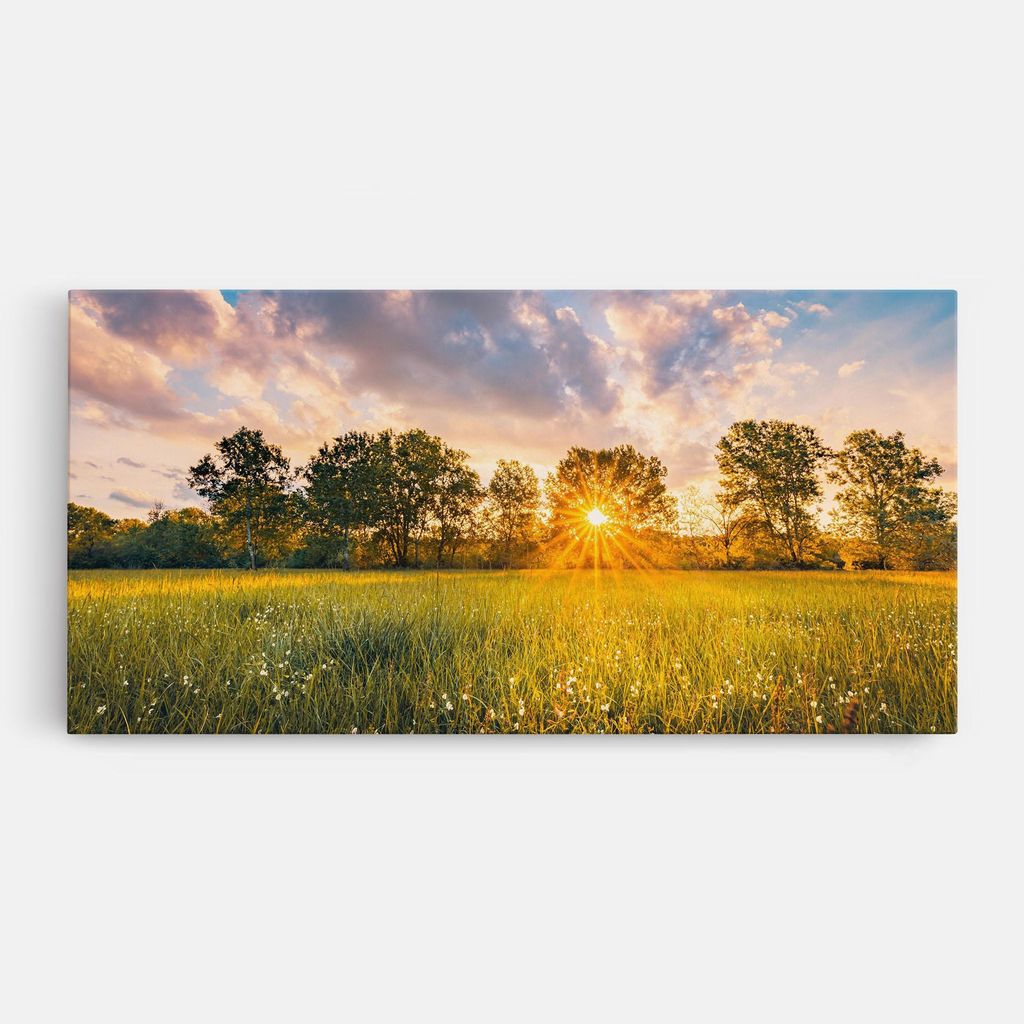 ARTHUB Leinwandbild 50x100 cm, Blossoming Meadow | Wohnzimmerdekoration, Hängende Bilder, Wanddekoration, Heimdekoration, Landschaften, Sommer
