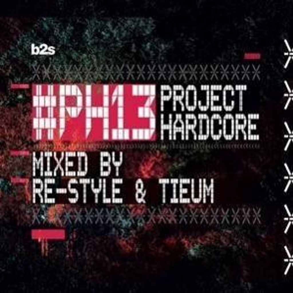 Project Hardcore-PH13