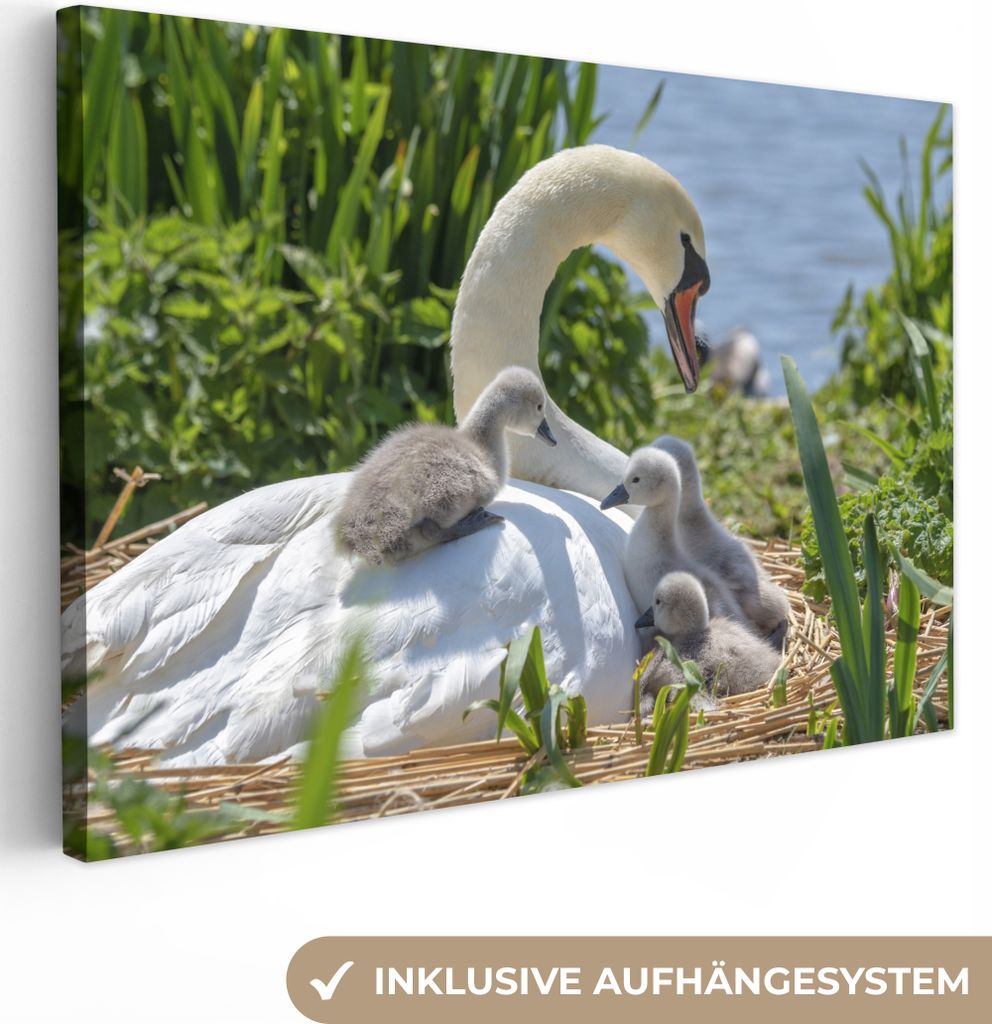OneMillionCanvasses - Leinwandbilder - 140x90 cm, Schwan - Wasser - Quelle, Wandbilder Kunstdruck Wanddekoration