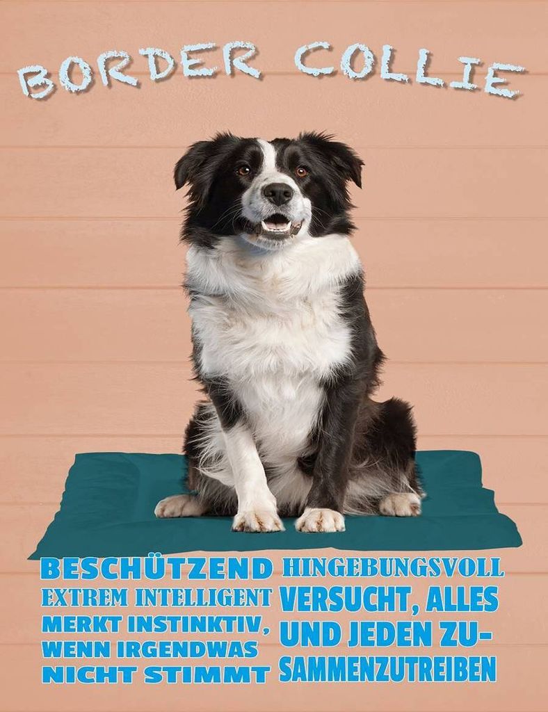 vianmo Holzschild 40x30 cm Border Collie Hund intelligent