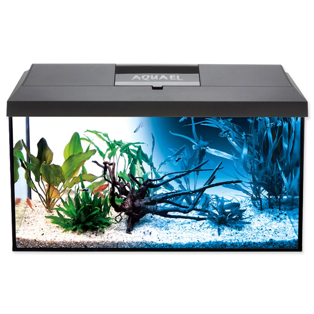 Aquarium 54 l Leddy Day & Night 60 noir idéal pour débuter en douceur