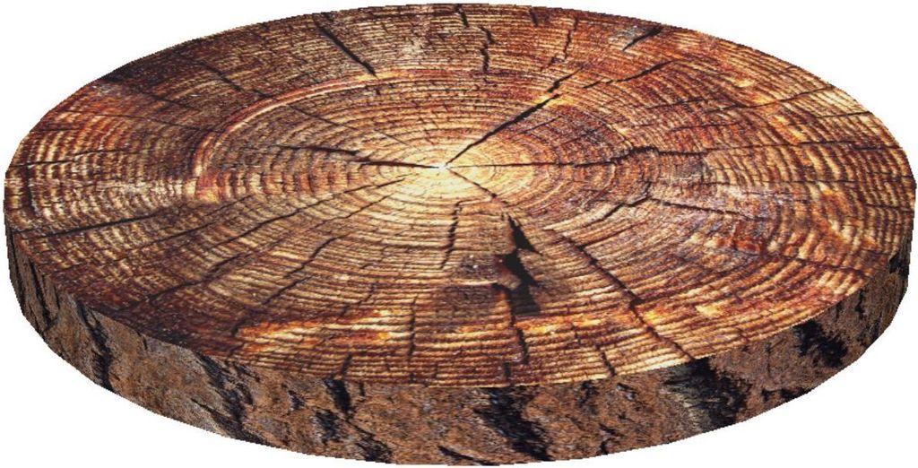 Vankúš na stoličku Bertoni RING 4x40cm AKAZIE Obrázok produktu 