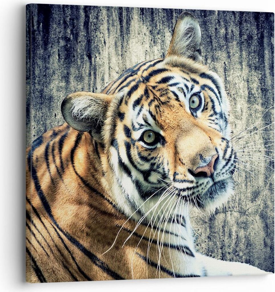 Bild auf Leinwand - Leinwandbild - Indien stein tiger wild - 30x30cm - Wand Bild - Wanddeko - Leinwanddruck - Bilder - Kunstdruck - Wanddekoration ...