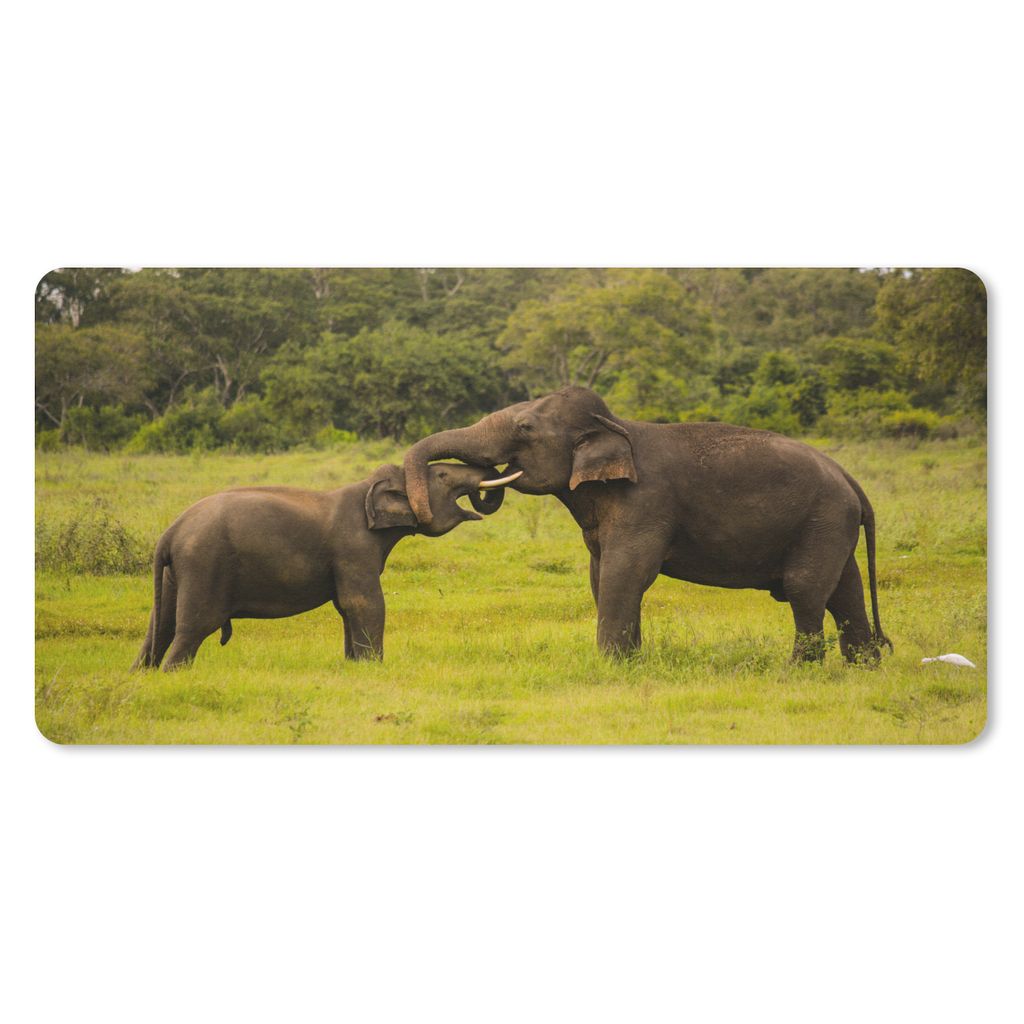 MuchoWow Mauspad Mousepad Elefant - Gras - Tiere - Grün 27x18 cm - Mousepads - Maus Mat - Pad - Mausunterlage - Büroartikel - Desk Matten