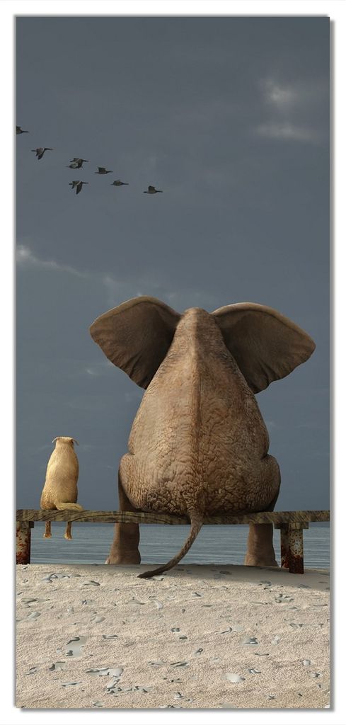 Wallario selbstklebende Türtapete 93 x 205 cm - Elefant und Hund sitzen auf einer Bank - Abwischbar, rückstandsfrei zu entfernen