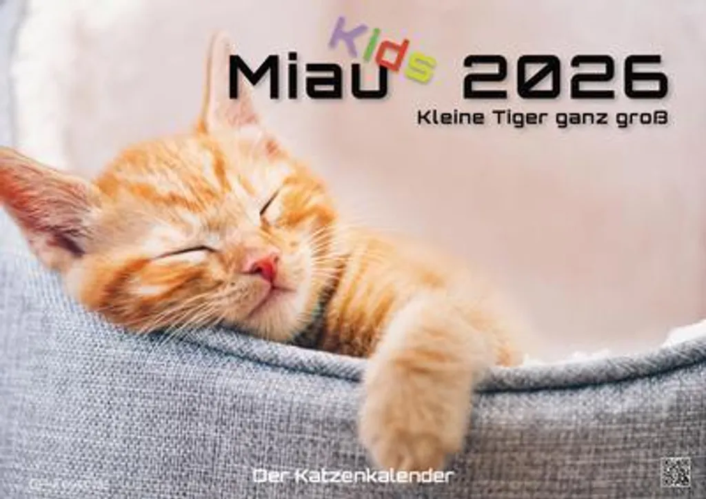 Grand Calendrier Chats 2026 Miau Kids A2 : Finis les Petits Formats