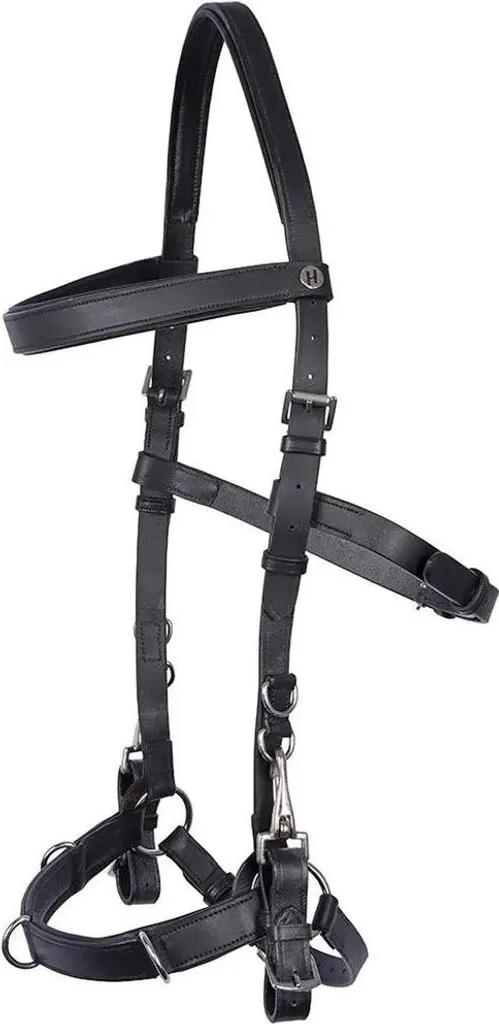 Bridon noir Cob Harry's Horse idéal pour l'entraînement et les concours