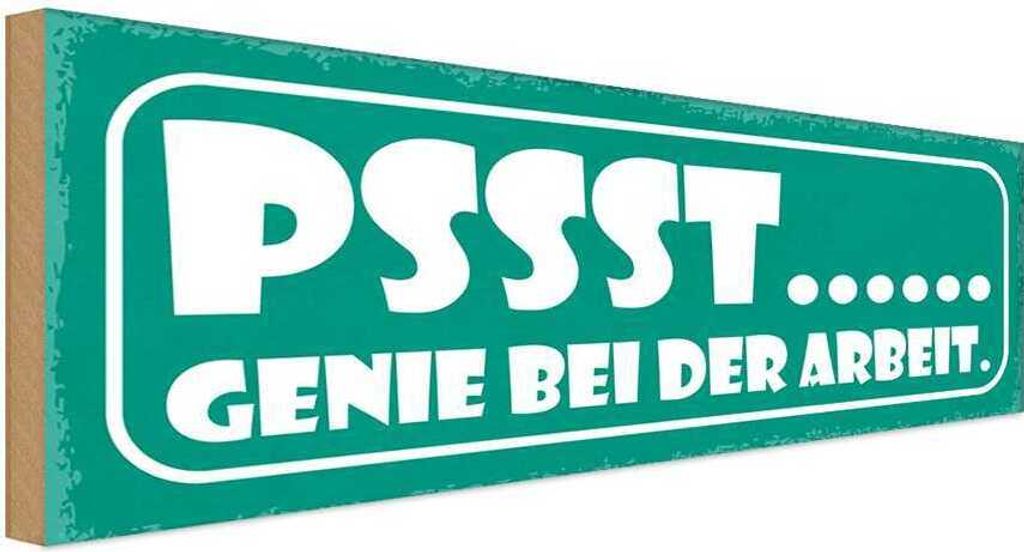 vianmo Holzschild 10x27 cm PSSST Genir bei der Arbeit Produktbild 