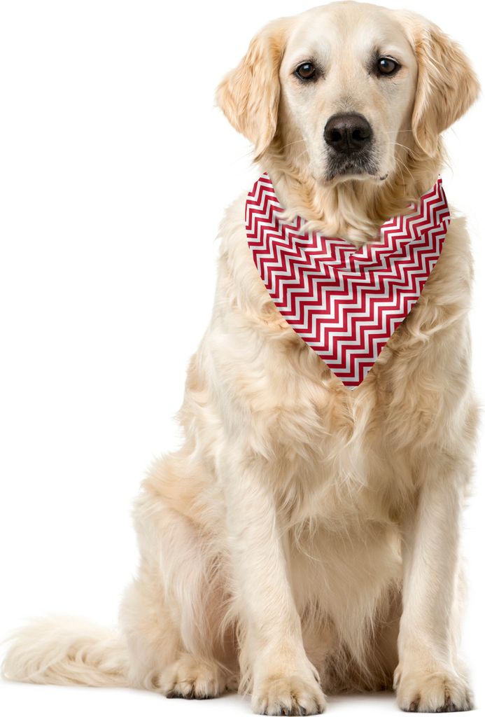 ABAKUHAUS rot Haustier Bandana, Klassische Einfache Chevron, 40x40 cm, Dunkler Coral Weiß