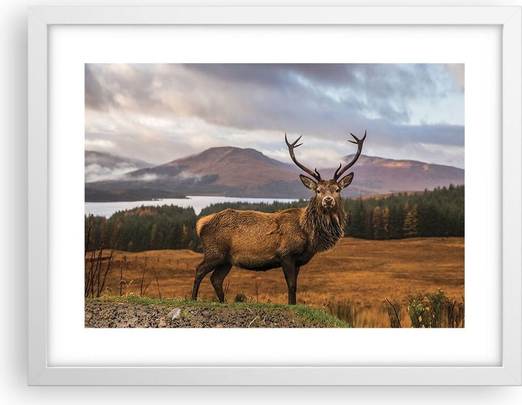 Gerahmtes Poster - Weißer Rahmen - Rehe Wiese Berge - 40x30 cm - Wand Bild - Wanddeko - Wandbilder - Kunstposter - Wandposter - Bilderrahmen - Bil...