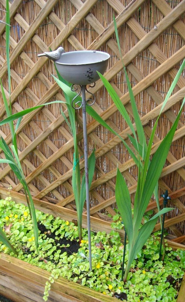 Vogeltränke auf Stab, Futterstelle, Gartenstab, Produktbild 
