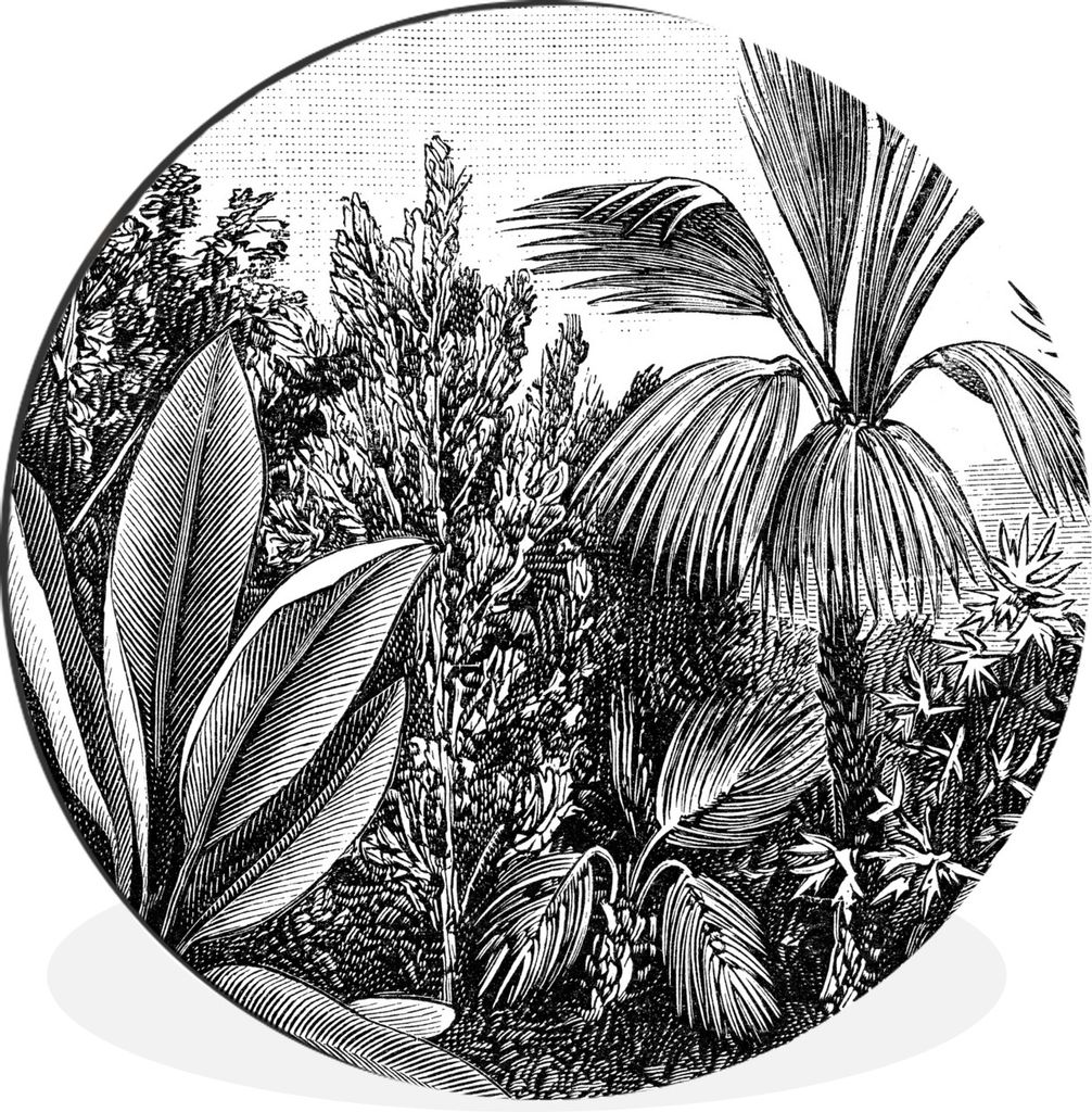 MuchoWow Aluminium Wandkreis Pflanzen - Natur - Gestaltung - Illustration - Ernst Haeckel Ø 90 cm Wanddeko Modern Wohnzimmer - Mauerkreis - Wand...