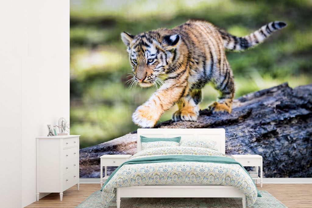 MuchoWow Fototapete für Wohnzimmer oder Schlafzimmer Wandtapete Vinyl Motivtapete Tiger - Junge - Baum - 360x260 cm - Wohnzimmer tapete