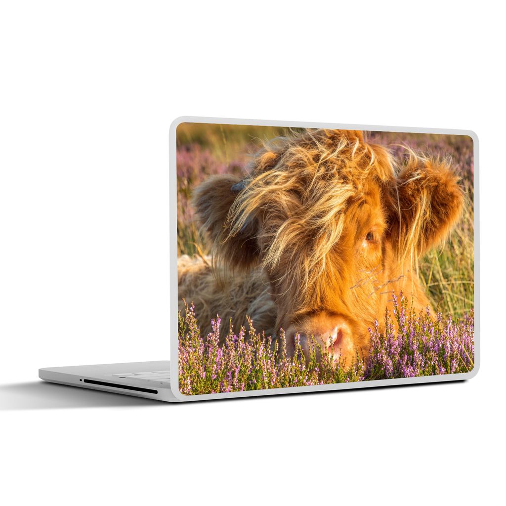 MuchoWow Laptop Aufkleber Sticker Cover Schottische Highlander - Heide - Gras - Tiere 30x22 cm - Laptop-Sticker