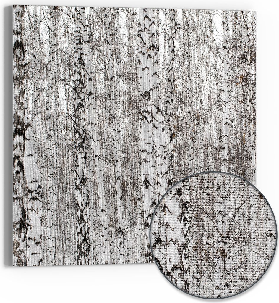 DEQORI Hybrid Leinwand Bild 50x50 cm 'Birkengeheimnis' Wandbild Glas flach modern
