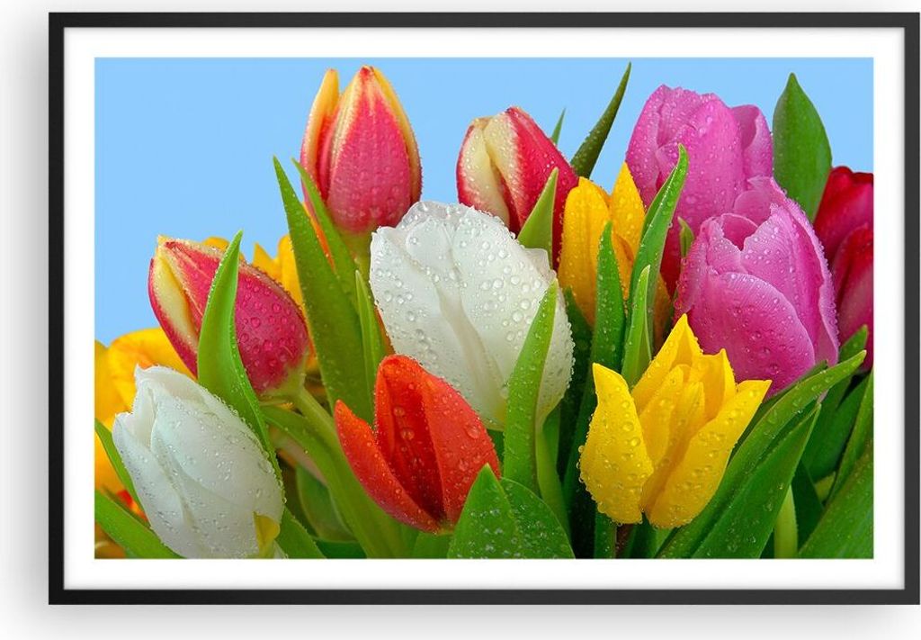 Gerahmtes Poster - Schwarzer Rahmen - Tulpen Blumenstrauß Blumen Tau - 91,5x61 cm - Wand Bild - Wanddeko - Wandbilder - Wandposter - Bilderrahmen ...