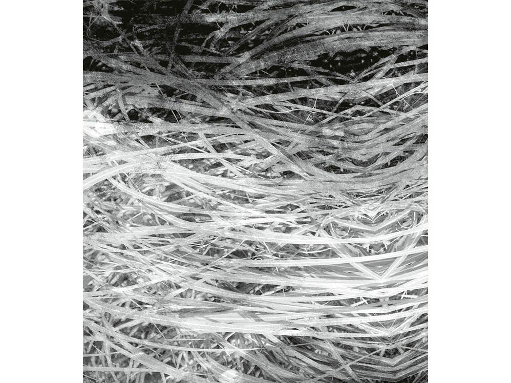 Fototapete - Hay Abstract II 225x250cm - Vliestapete