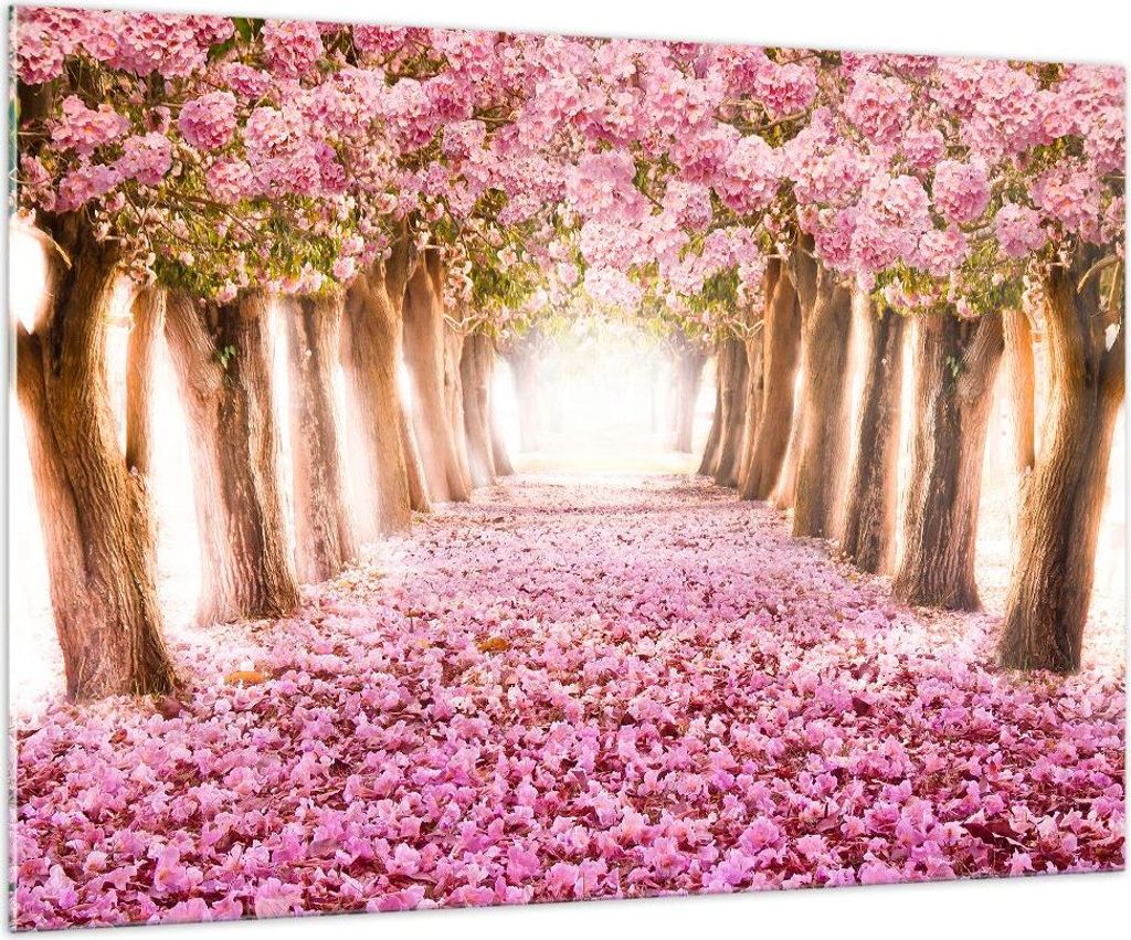 Bilder auf glas - Baum Blumen Kirsche Natur - 100x70cm - Glasbilder - Wandbilder - Kunstdruck - zum Aufhängen bereit - Wanddekoration aus Glas - G...