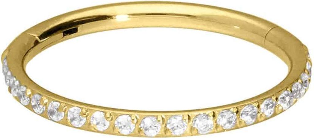 Ohrpiercing, Nasenpiercing, Septum Piercing Titan Segmentring Clicker EINGEFASSTE KRISTALLE Gold Innendurchmesser: 6mm + Stabstärke: 0,8mm