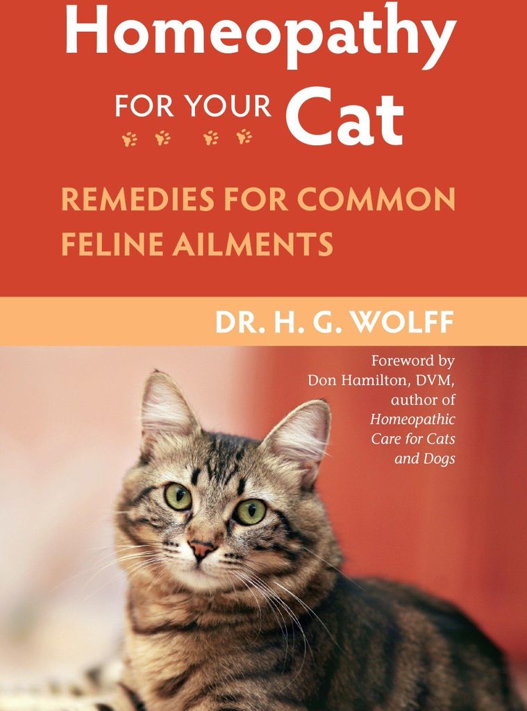 Homeopathy for Your Cat
