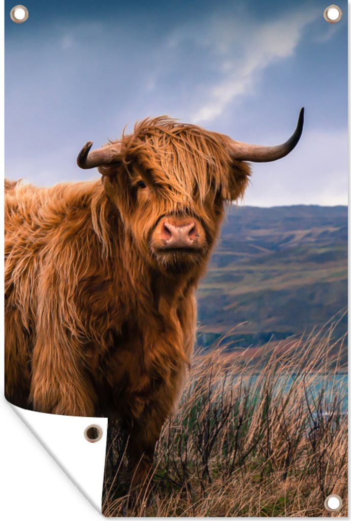 MuchoWow 40x60 cm Outdoor-Poster Gartendeko Sichtschutz Garten Poster für den Garten Schottischer Highlander - Berg - Wasser - Natur - Kuh
