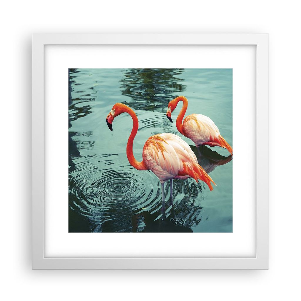 Gerahmtes Poster - Weißer Rahmen - Rosa Flamingos Wasser - 30x30 cm - Wand Bild - Wanddeko - Wandbilder - Kunstposter - Wandposter - Bilderrahmen ...