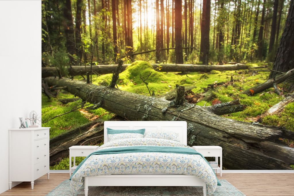 MuchoWow Fototapete für Wohnzimmer oder Schlafzimmer Wandtapete Vinyl Motivtapete Baum - Wald - Moos - 330x220 cm - Fototapeten