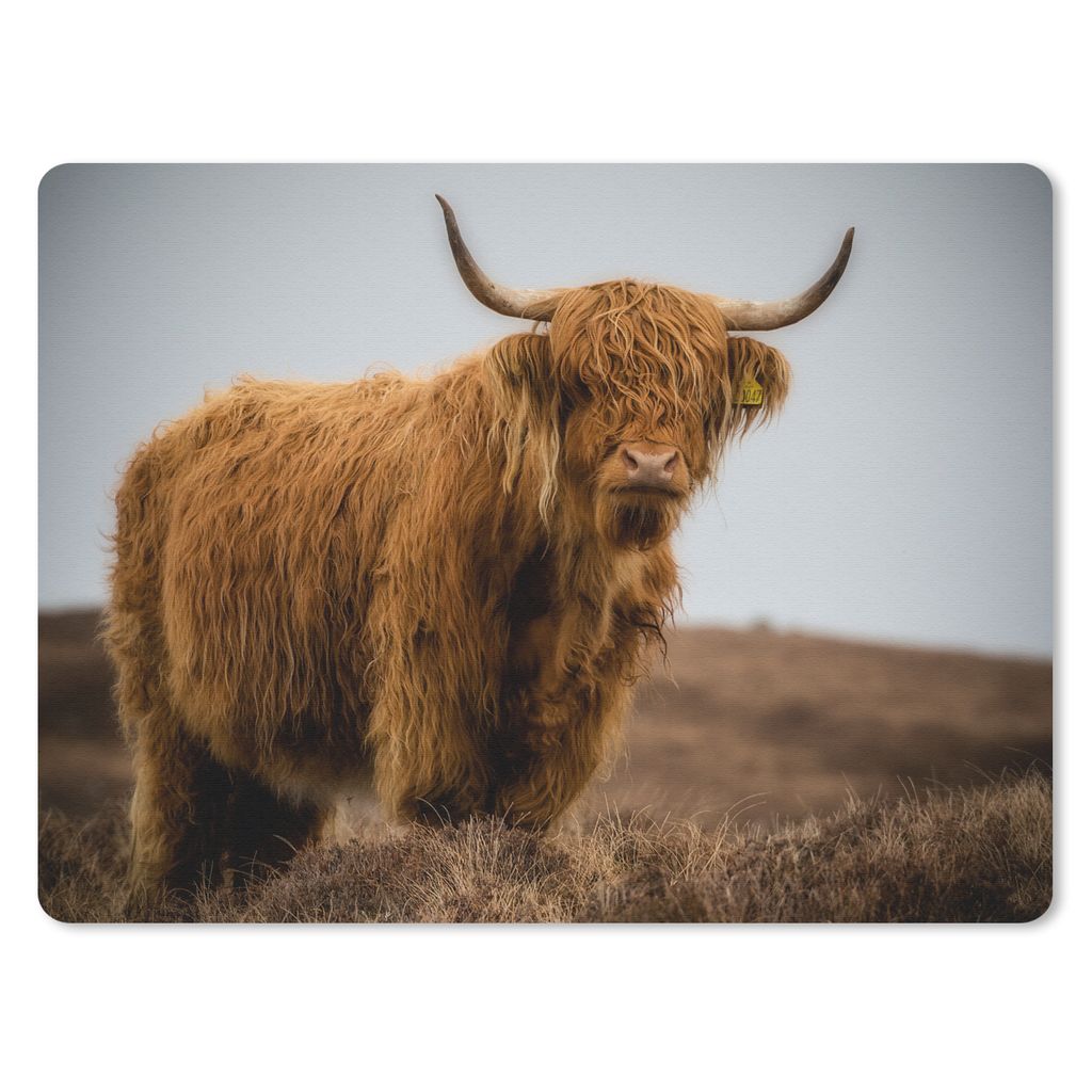 MuchoWow Mauspad Mousepad Schottischer Highlander - Düne - Gras 23x19 cm - Mousepads - Maus Mat - Pad - Mausunterlage - Schreibtischunterlage - ...