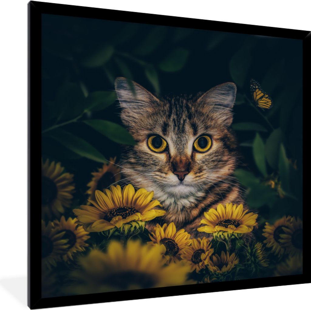 MuchoWow Gerahmtes Poster Katze - Gelb - Blumen - Botanisch 40x40 cm - Poster mit Schwarzem Bilderrahmen Wandposter Rahmen Foto Bilder - Mit Rahm...