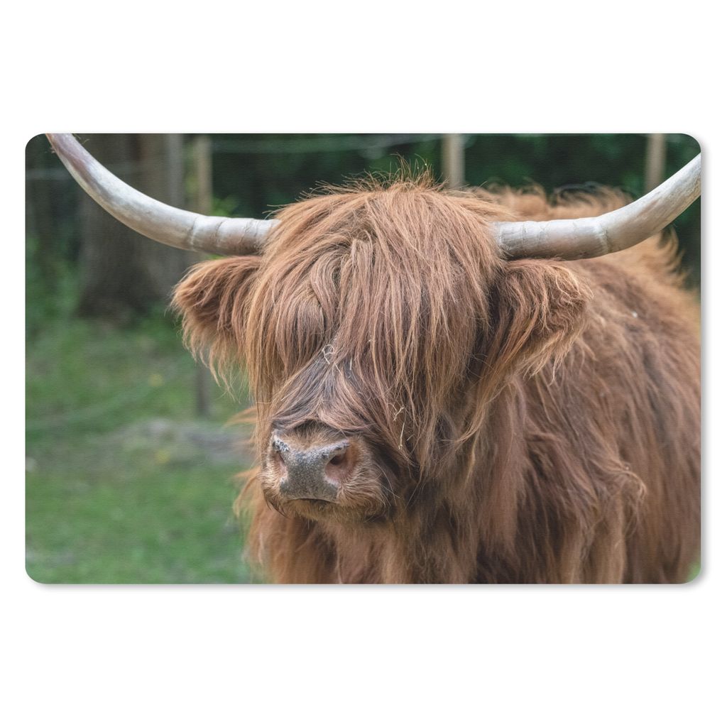 MuchoWow Schreibtischunterlage Schottischer Highlander - Natur - Porträt 60x40 cm - XXL Mauspad - Großes Mauspad