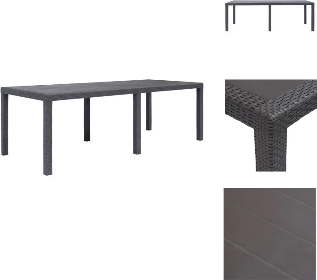 vidaXL Table de Jardin Marron 220 x 90 cm en Plastique Aspect Rotin